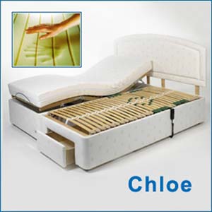Bedstars- Chloe- 3 FT Adjustable Bed