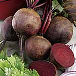 Unbranded Beetroot Boltardy Plug Plants 470111.htm