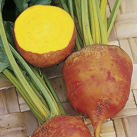 Unbranded Beetroot Burpees Golden Seeds Average Seeds 225