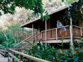 Unbranded Belize jungle accommodation