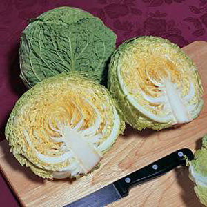 Unbranded Cabbage Savoy Estoril F1 Seeds