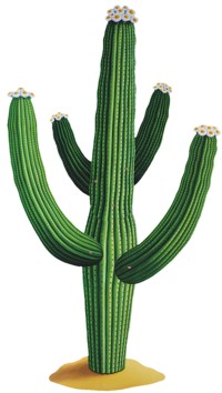 A cardboard cactus for Cowboy party decoration. Movable arms means it can be posed to fit your wall 