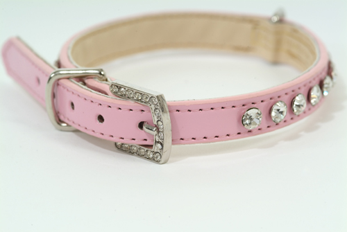 Candyfloss dog collar