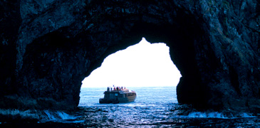 Unbranded Cape Brett ``Hole in the Rock`` Cruise