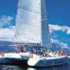 Cape Catamaran Cruise - Adult-Morning Cruise