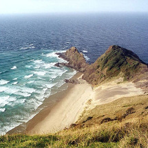 Unbranded Cape Reinga Wanderer Tour - Adult with BBQ Lunch
