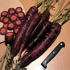 Unbranded Carrot Purple Haze F1 Hybrid Seeds