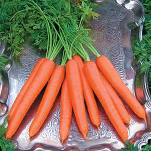 Unbranded Carrot Tendersnax F1 Hybrid Seeds