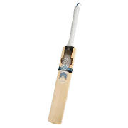 Unbranded Catalyst Cricket Bat Harrow