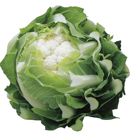 Unbranded Cauliflower Triomphant F1 Seeds Average Seeds 45