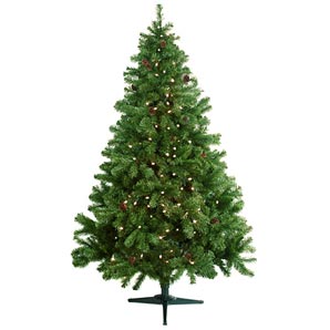 Cavendish Pine 198cm