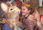 Child Ticket to The World of Beatrix Potter Attraction