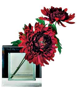 Unbranded Chrysanthemum in Mirror Vase