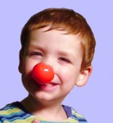 Clown nose - foam - one size fits all