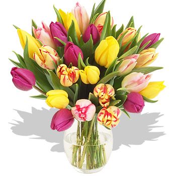 Unbranded Colourful Mix Tulip Bouquet - flowers