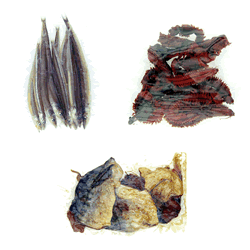 Choose from real Mackerel  Sandeel or Scallop Frills - salted preserved and vacuum packed to retain 