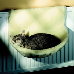 Your cat will love to curl up on their Cosy Cat Radiator Bed.  The bed has a fleecy cover for warmth