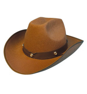 A brown felt cowboy hat.