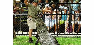Unbranded Croc Express - Australia Zoo from Brisbane - Child