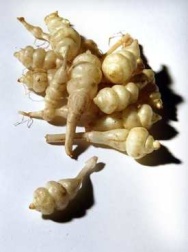 Pronounced crones, these delicious Chinese artichokes are a crunchy addition to any dish. In Japan t
