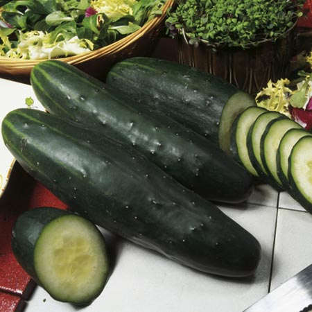 Unbranded Cucumber Marketmore Seeds Average Seeds 25