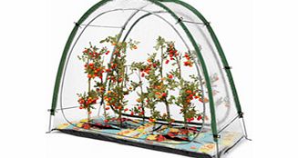 Growing your own fruit and veg has never been more popular and whatever you like to grow fruit vegetables plants or shrubs you will have probably thought about buying a greenhouse cold frame or poly tunnel at some time or other. So why havent you don