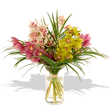 Unbranded Cymbidium Orchids in a Vase - flowers