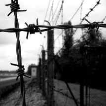 Unbranded Dachau Concentration Camp - Adult