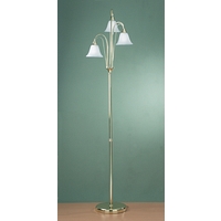 Unbranded DADER49 - Polished Brass Floor Lamp