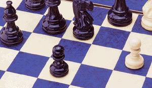 Deluxe Matte Chess Board - 2
