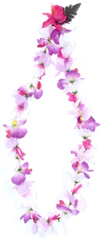 Unbranded Dendrobium Orchid Lei