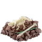 Any amateur archaeologist will love this! Dig and excavate the skeleton of a Triceratops and