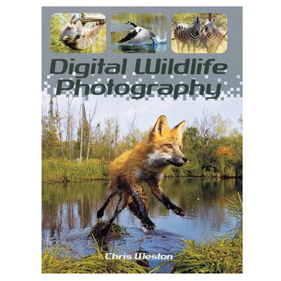 Unbranded Digital Wildlife Photography