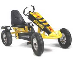 Increasingly popular kart due to its good looks and suite of special features. Pneumatic tyres,