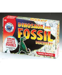 Dinosaur and Fossil Discovery