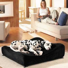 Unbranded DISC Cover For Pedigree Sofa Bed Large