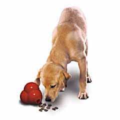 This dispensing food/treat ball will help to reduce boredom and destructive behaviour through health