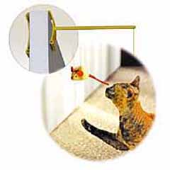 When you`re away; your cat still wants to play. Help reduce separation anxiety and give your cat qua