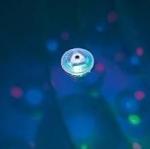 Disco Spa Lights