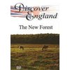 Unbranded Discover England - The New Forest