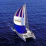 Unbranded Discover Lanai Catamaran Cruise - Adult