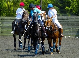 Discover Polo Experience at Ascot Park