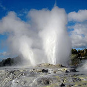 This morning bus tour is a great way for all of the family to see Rotorua