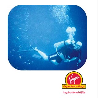 Ever wanted to try scuba diving in a safe environment? Then jump in - here