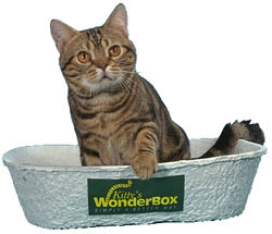 Disposable Cat Litter Tray