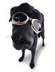 Doggles(ILS extra large chrome)