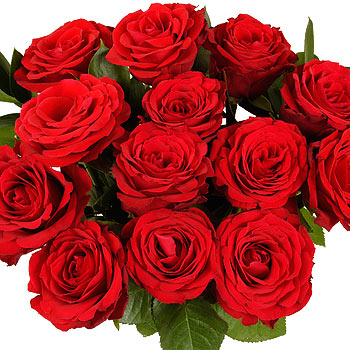 Unbranded Dozen Red Roses Gift Wrap - flowers