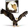 Eagle in Flight