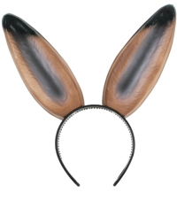 Unbranded Ears - Hares on Headband
