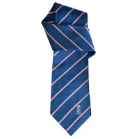 Unbranded ECB Official England Cricket Striped Silk Tie.